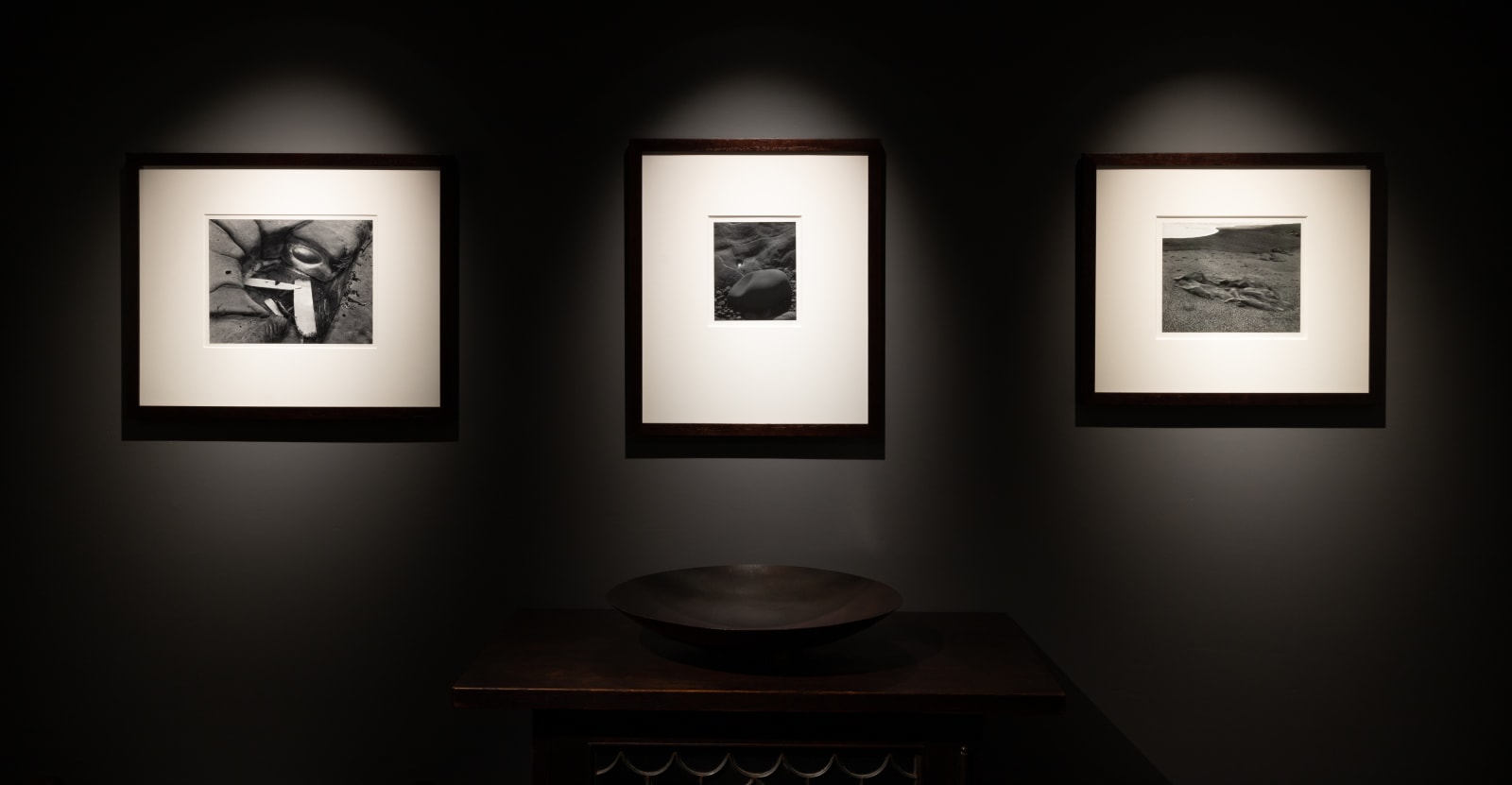 Paul Caponigro, Nahant Beach, Massachusetts, 1958