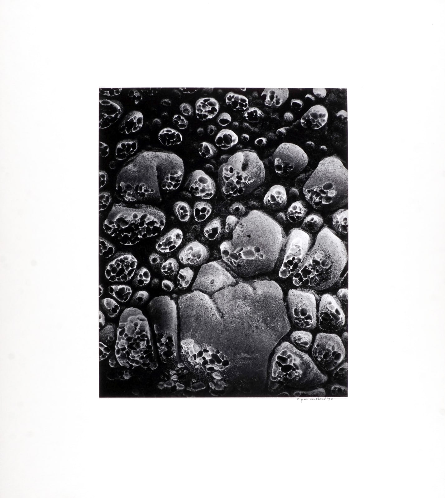 Wynn Bullock, Pebble Beach, 1970