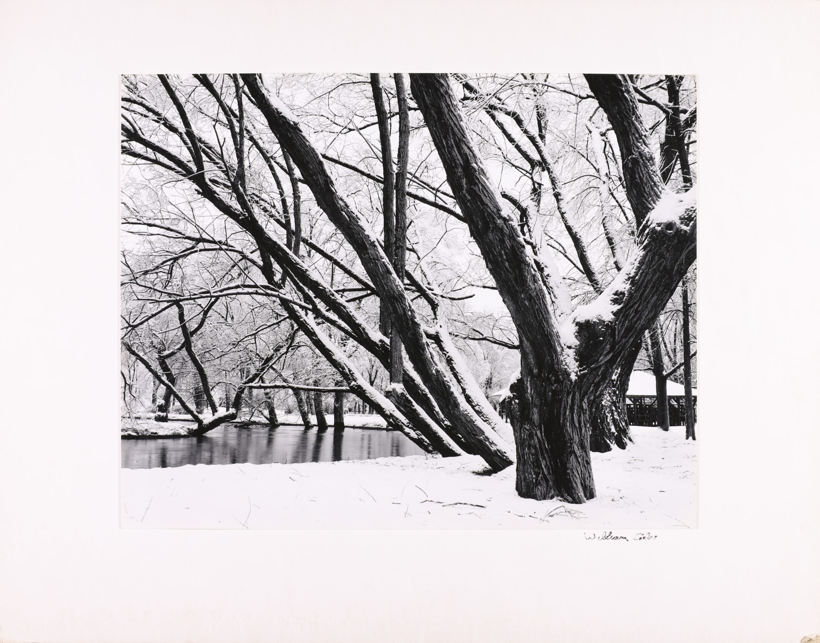 William B. Giles, Snow and Trees , 1962