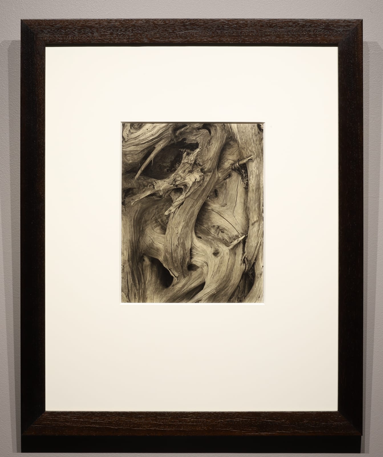 Paul Strand, Driftwood, Gaspe, 1929