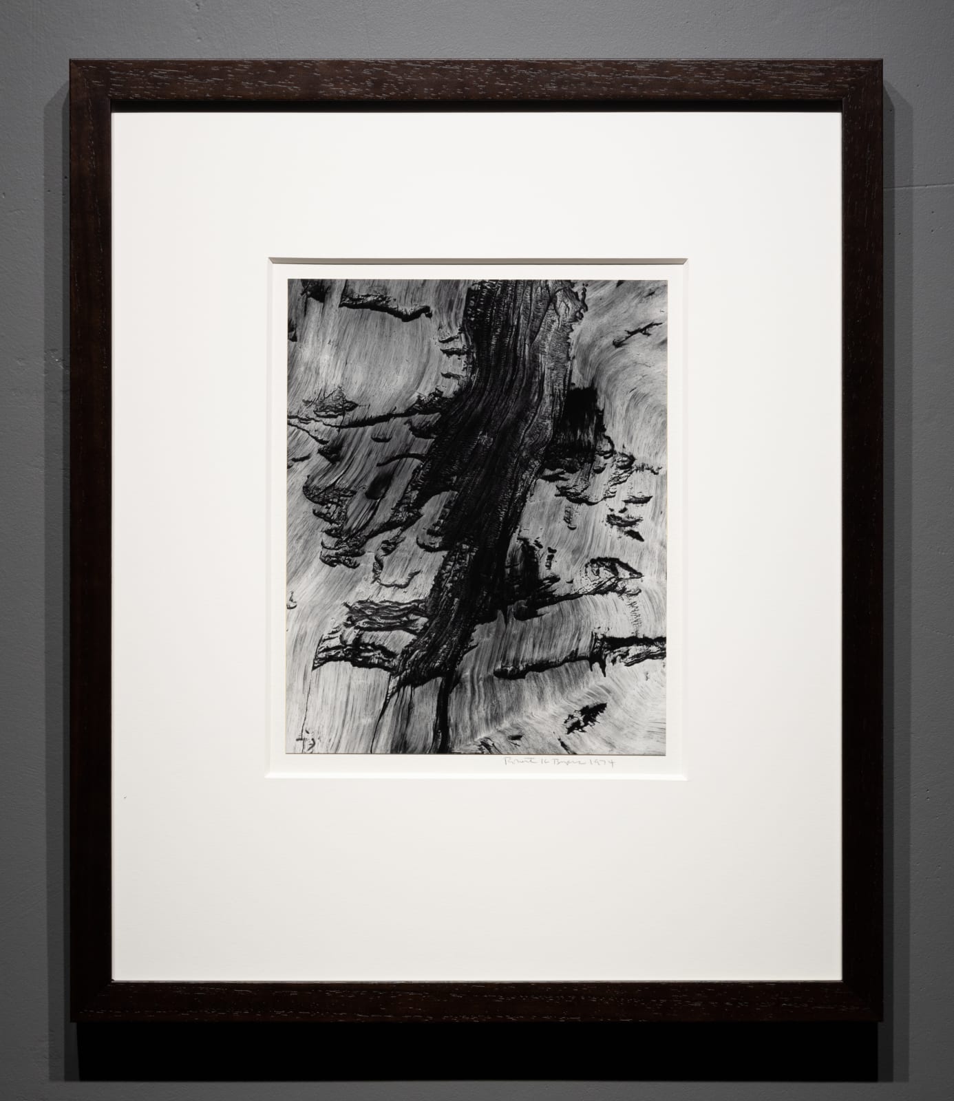 Robert K. Byers, Bristlecone Pine, White Mountains, California, 1974