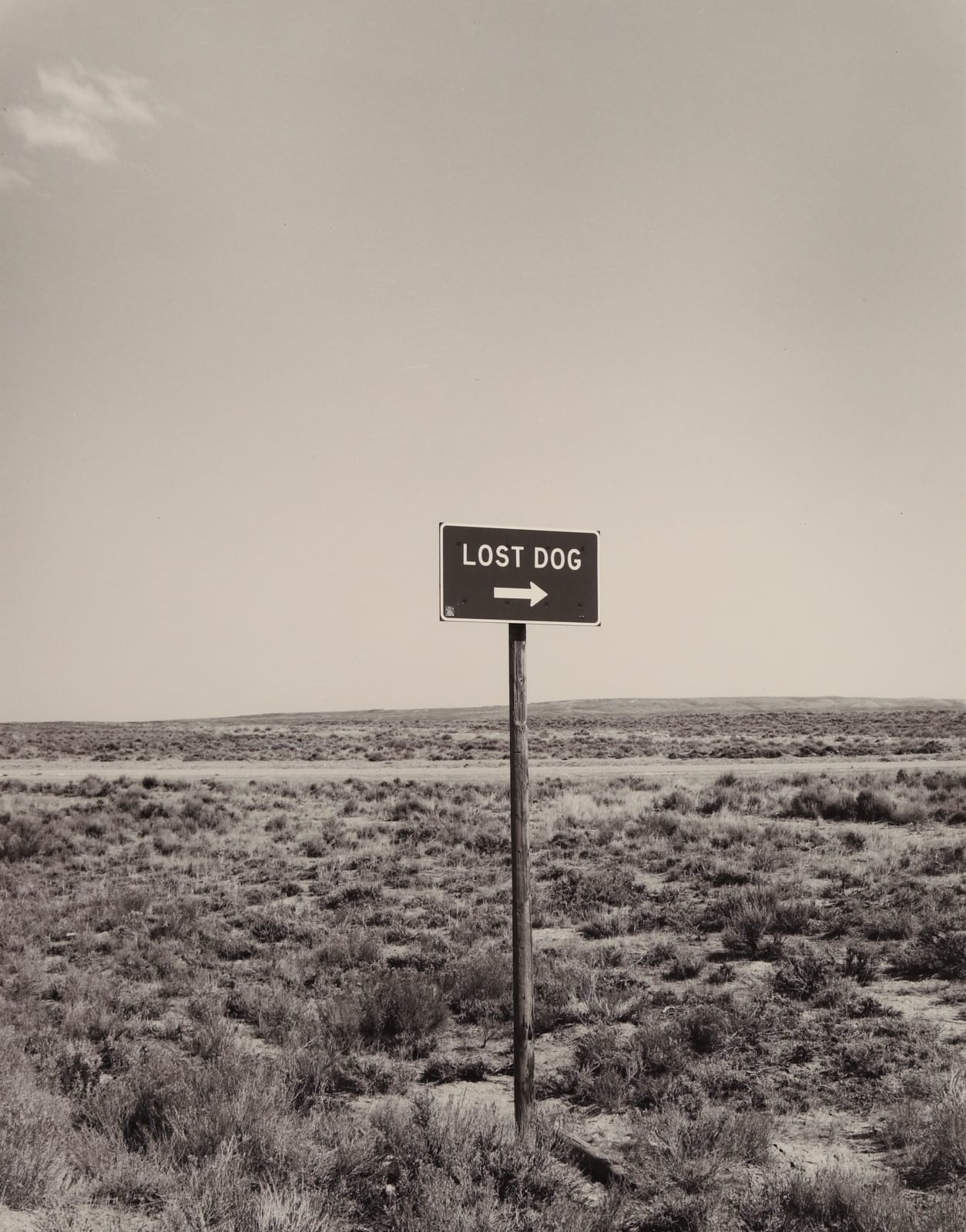 Bob Kolbrener, Lost Dog, Nevada, 1979