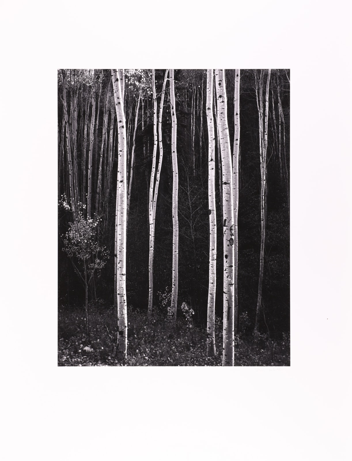 Ansel Adams, Message from West Coast Portfolio, 1986