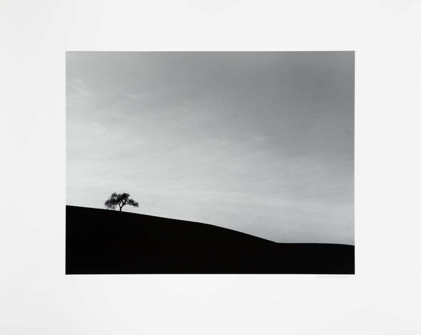 Edna Bullock, Lone Oak, 1985