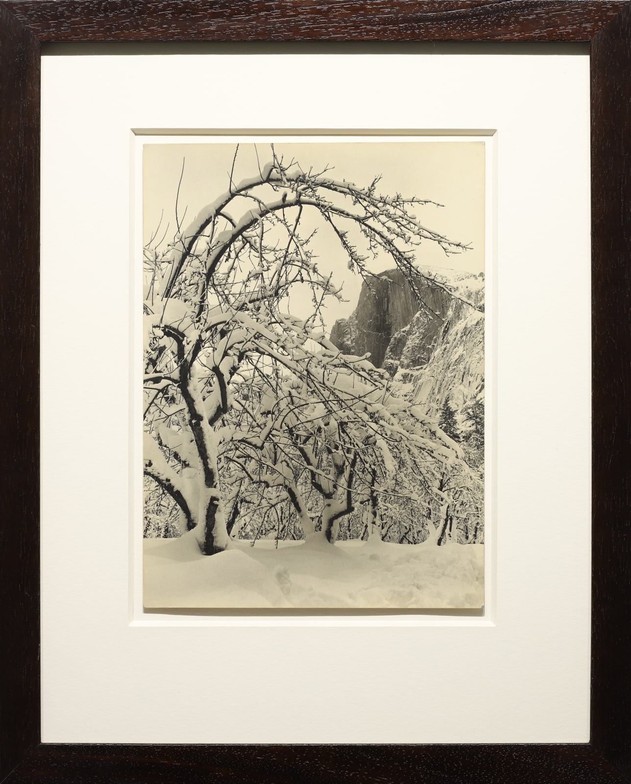 Ansel Adams Half Dome Apple Orchard Winter Yosemite 1935 Seagrave Gallery