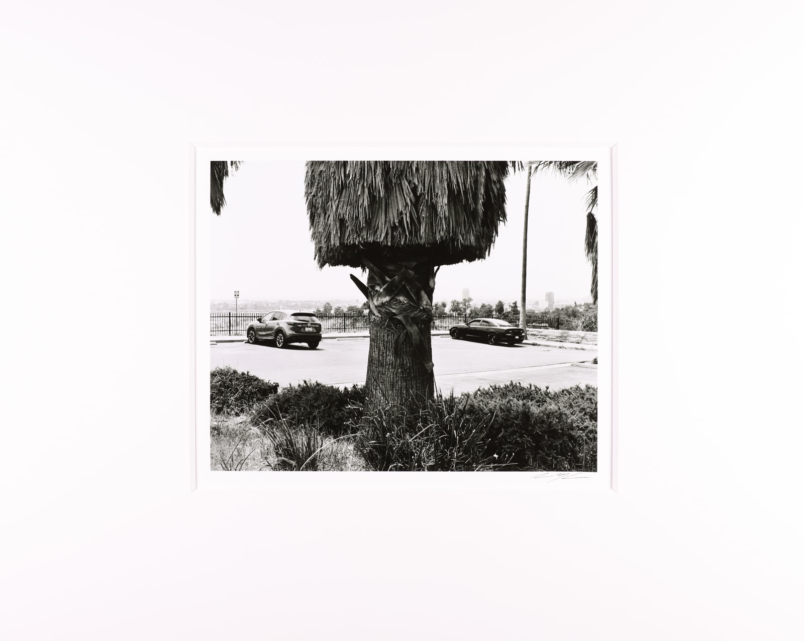 Ryan McIntosh, Grandview Drive, Elysian Park, Los Angeles, CA, 2020