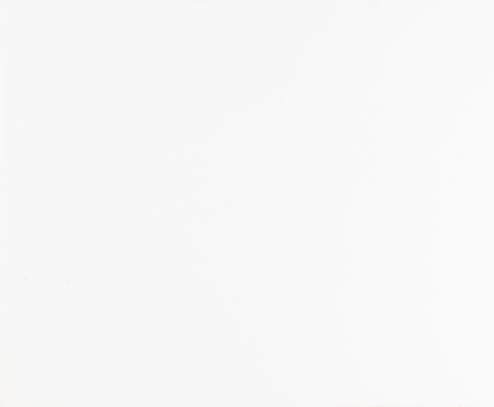 Paul Caponigro, Desert Plant, Badlands, South Dakota, 1959