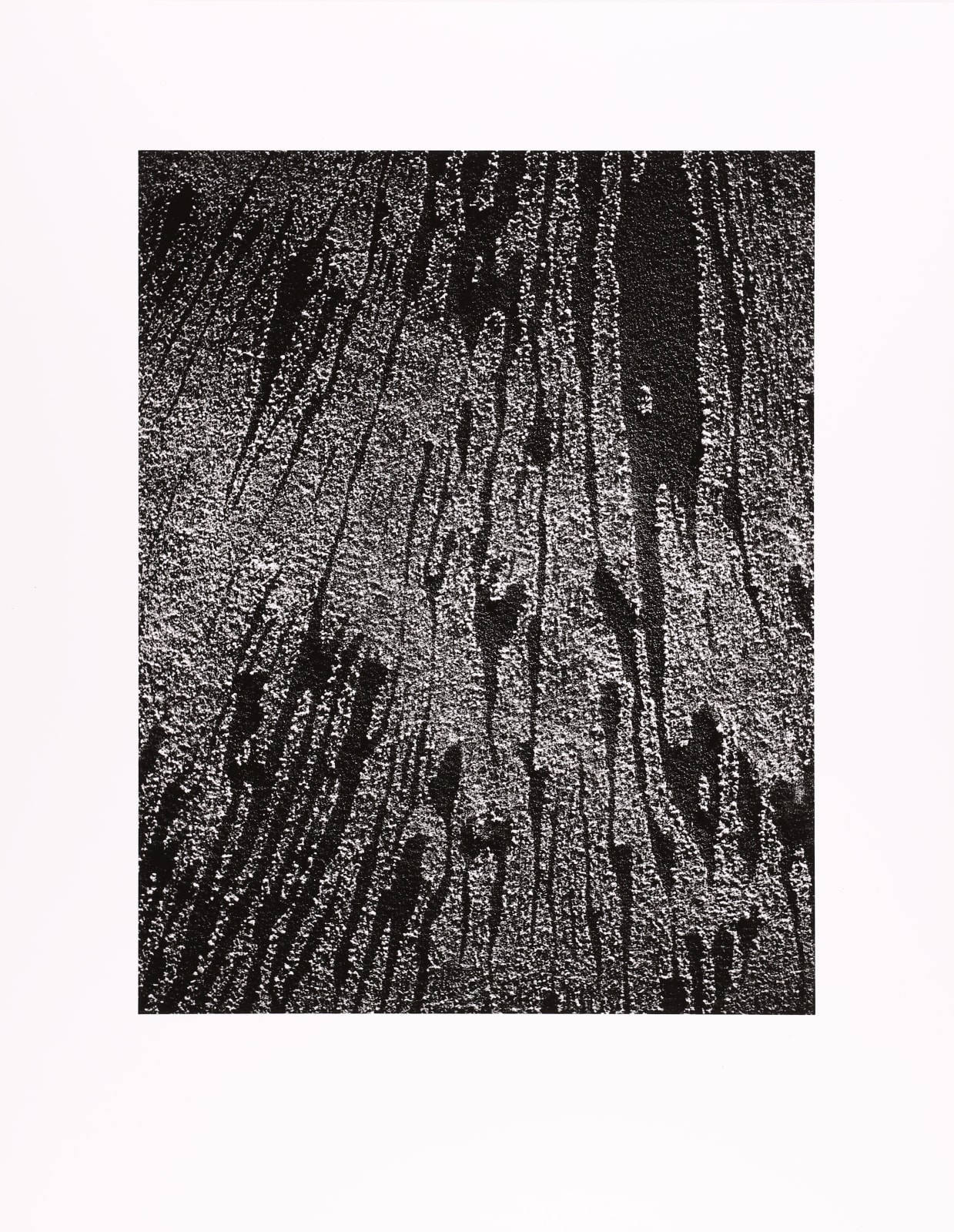 William Garnett, [untitled], c. 1960