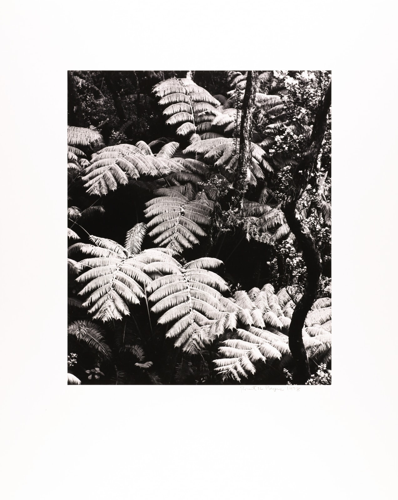 Robert K. Byers, Volcano National Park, Hawaii, 1978