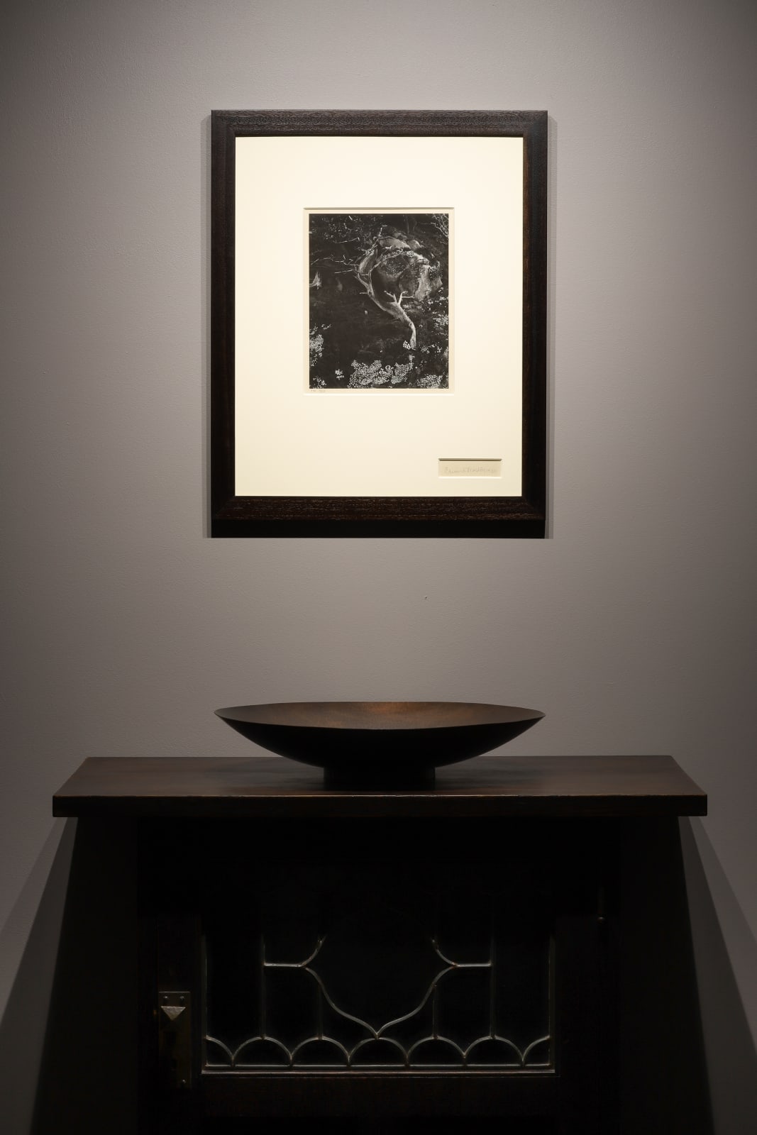 Edward Weston, Cypress, Rock, Stone Crop, 1930