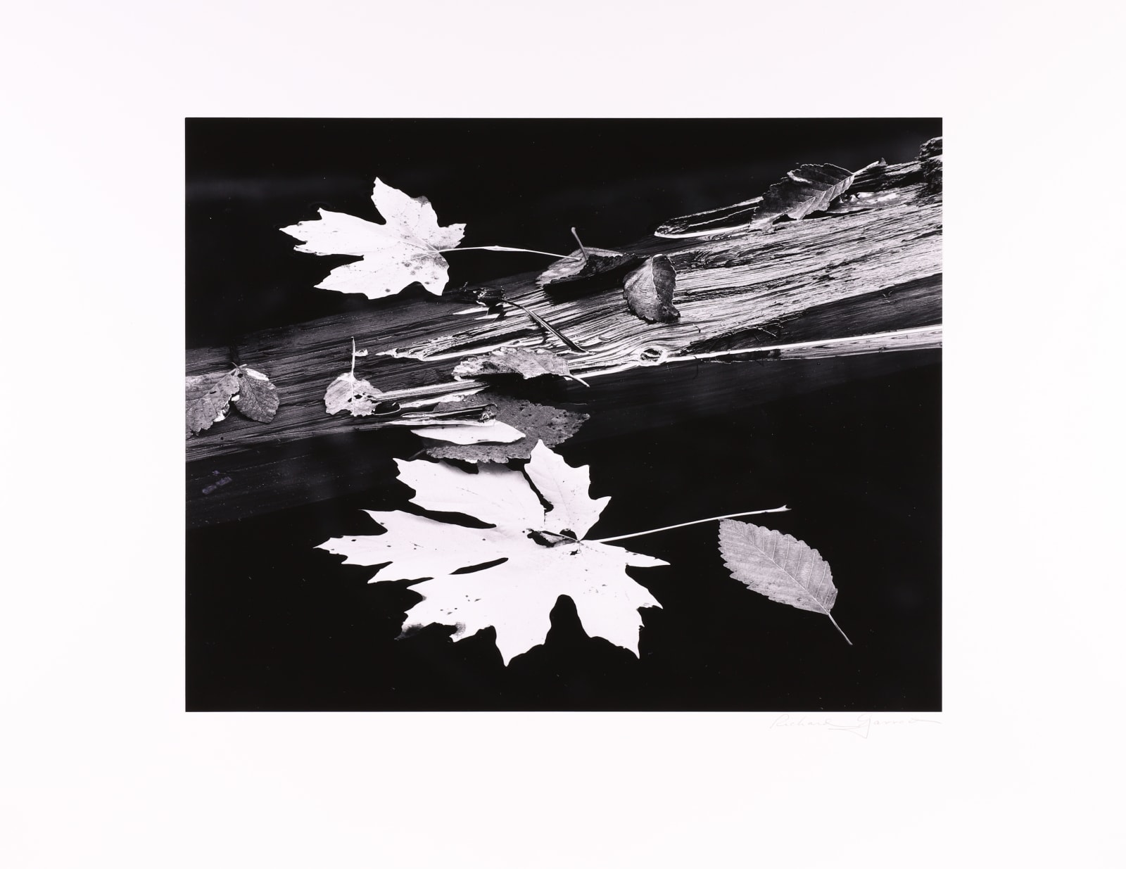 Ansel Adams, Message from West Coast Portfolio, 1986