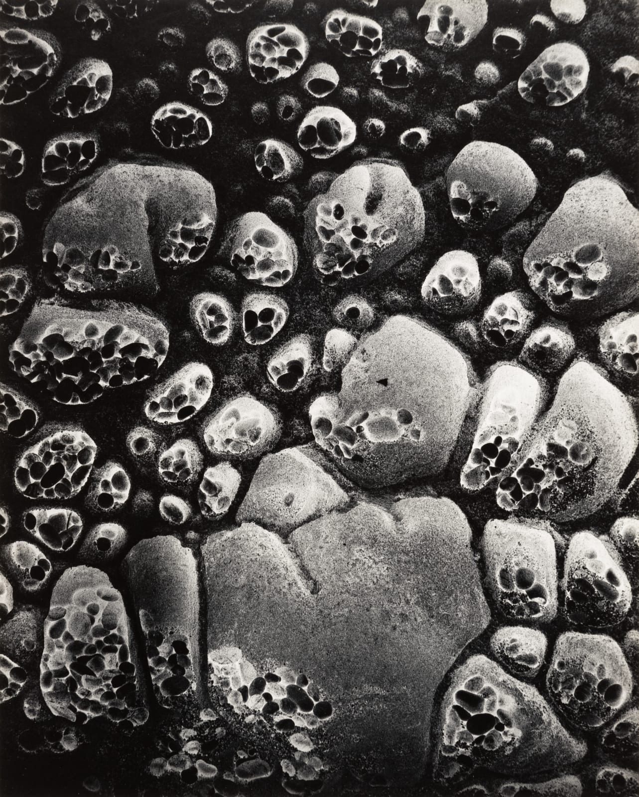 Wynn Bullock, Pebble Beach, 1970