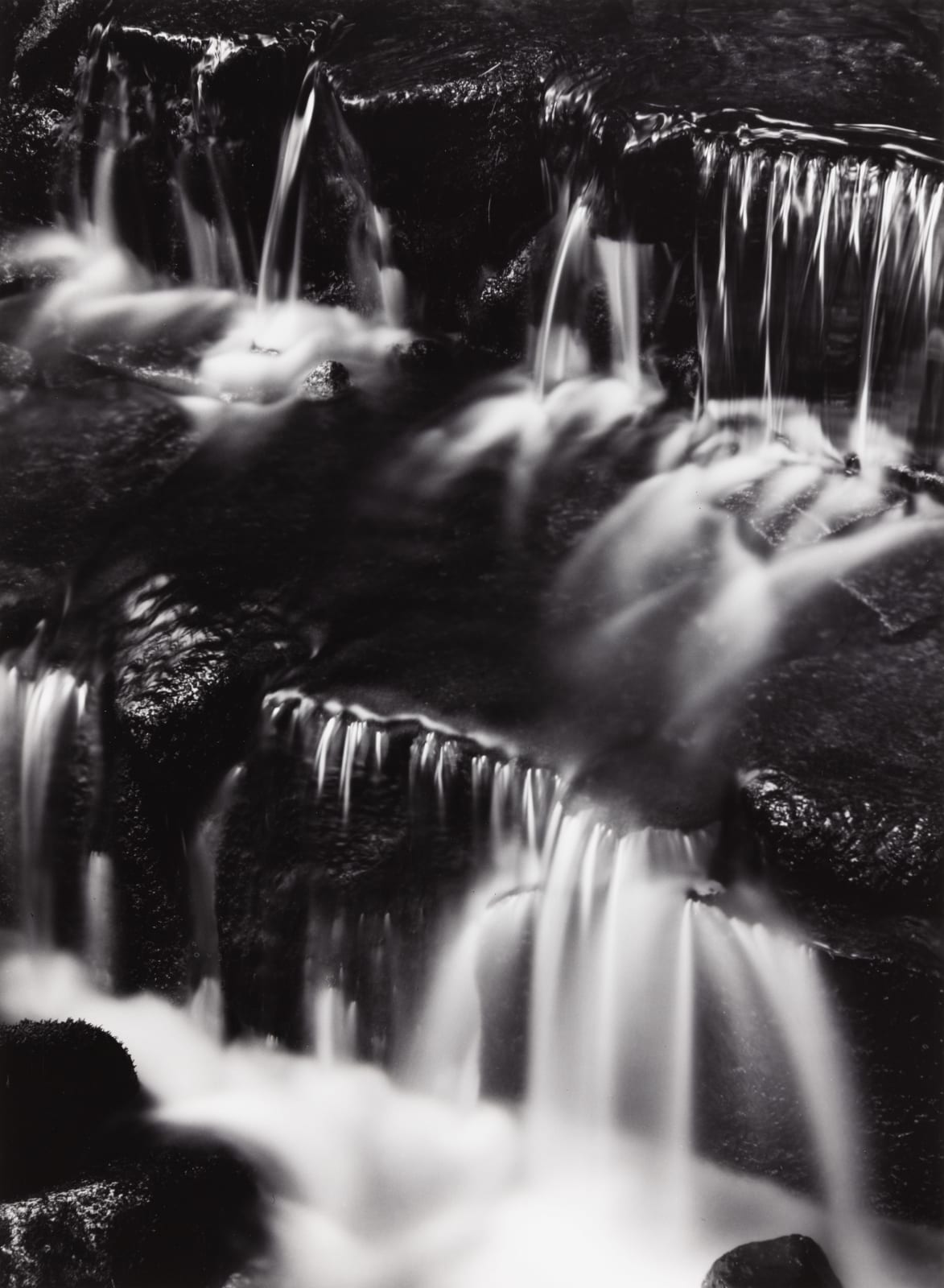 Ansel Adams, Fern Spring, Dusk, Yosemite, 1961