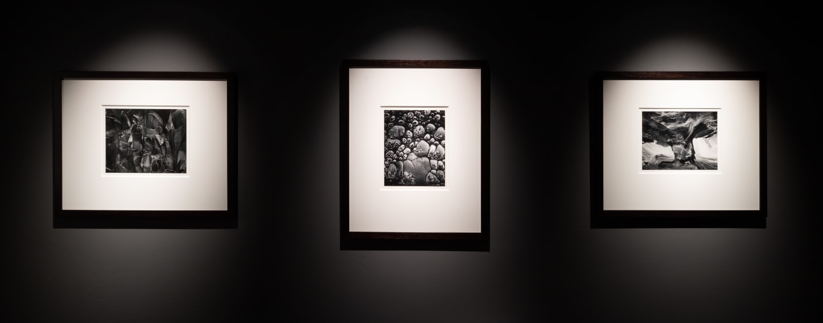 Wynn Bullock, Pebble Beach, 1970