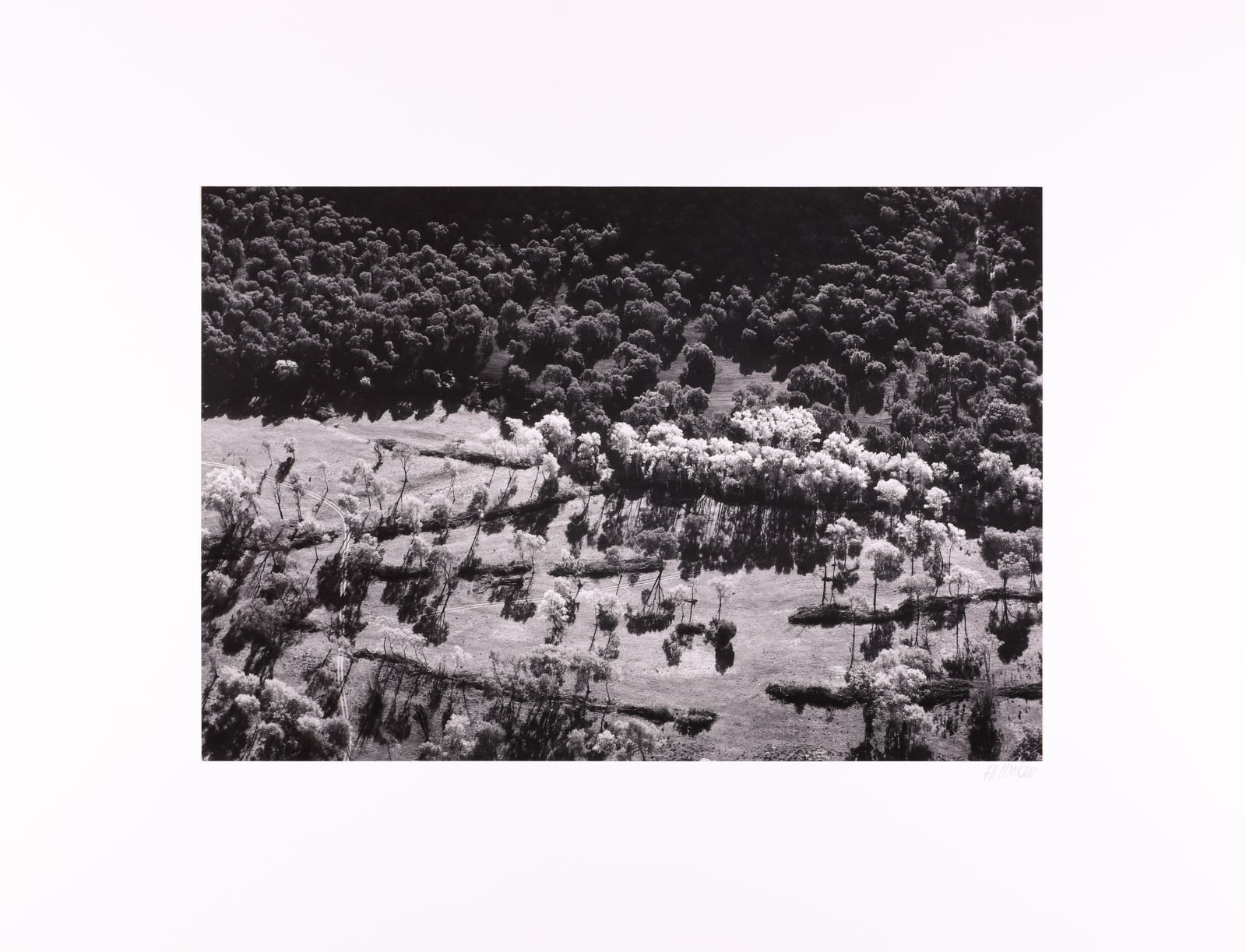 Brett Weston, Garland Memorial Portfolio, 1976