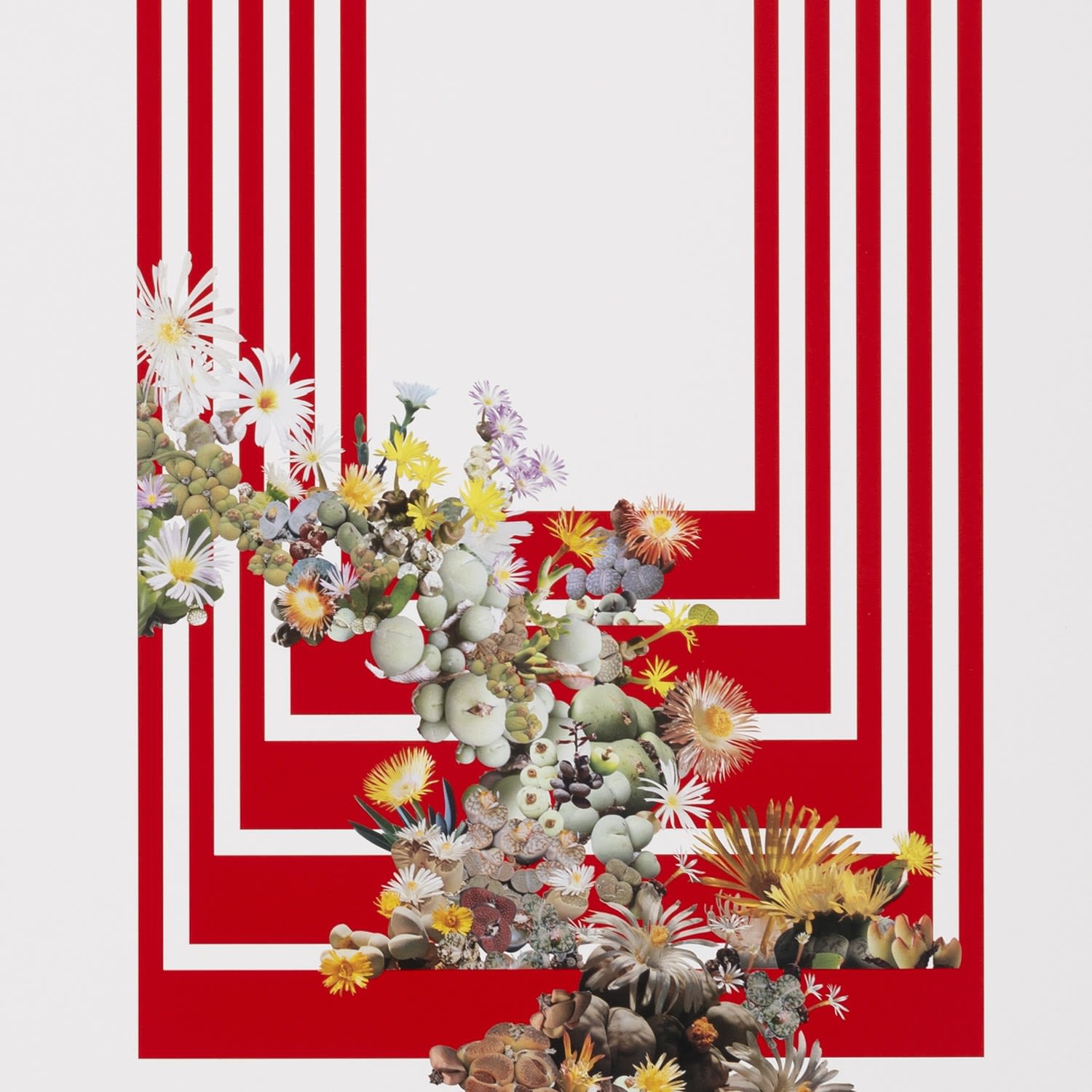 Stephen Eichhorn, Cono (Theology), 2024