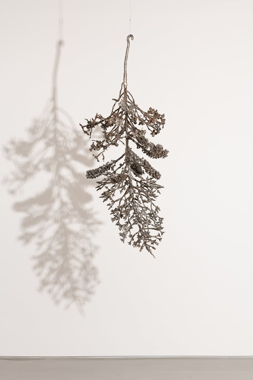 Carolyn Ottmers, Splice #8 (CO10LLOYDM), 2010