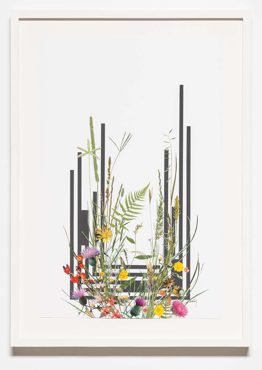 Stephen Eichhorn, Stepped Grasses (Voidground), 2024