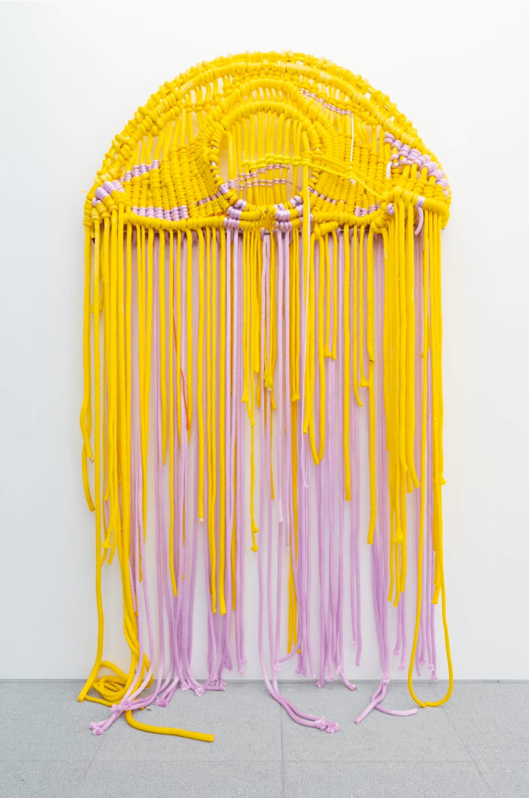 Jacqueline Surdell, Golden shroud (golden fleece), 2024