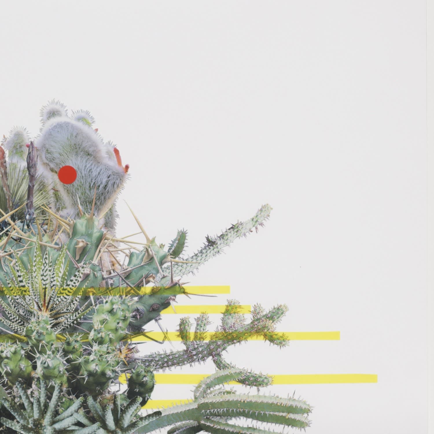 Stephen Eichhorn, Yellow Drifts (Voidground), 2024