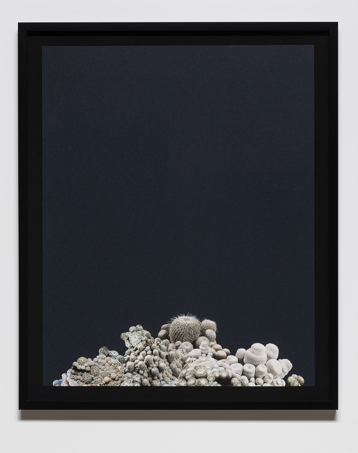 Stephen Eichhorn, Low, 2023