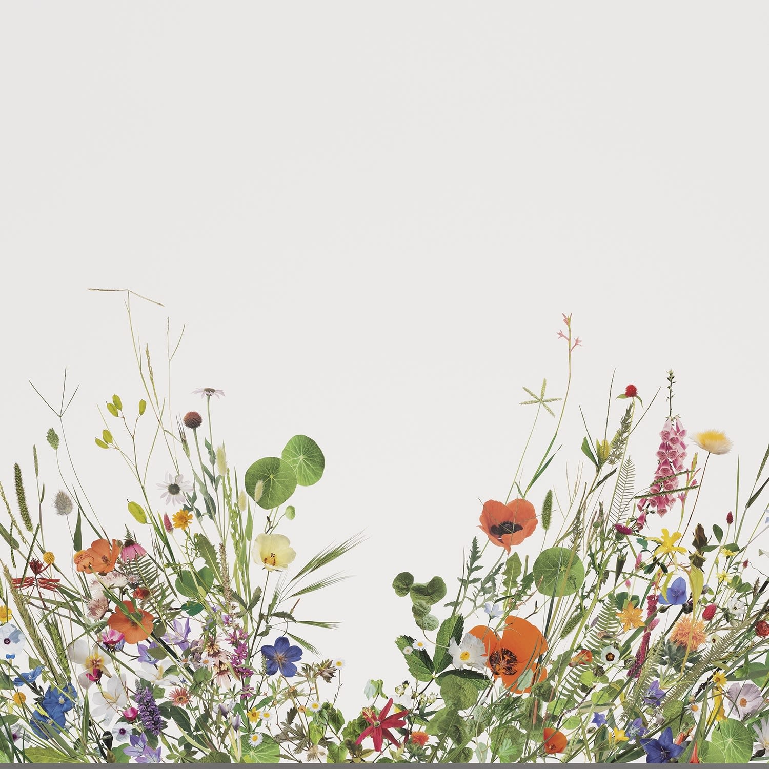 Stephen Eichhorn, In & Out of the Garden (Spring), 2023