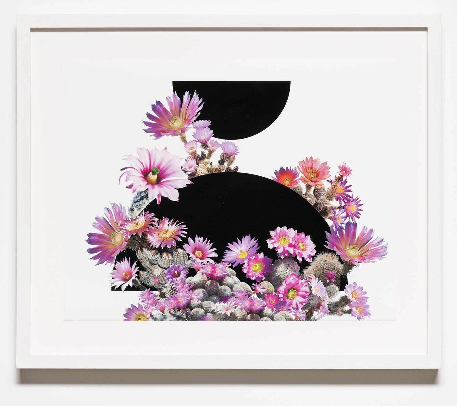 Stephen Eichhorn, Pink Flower (Voidground), 2024