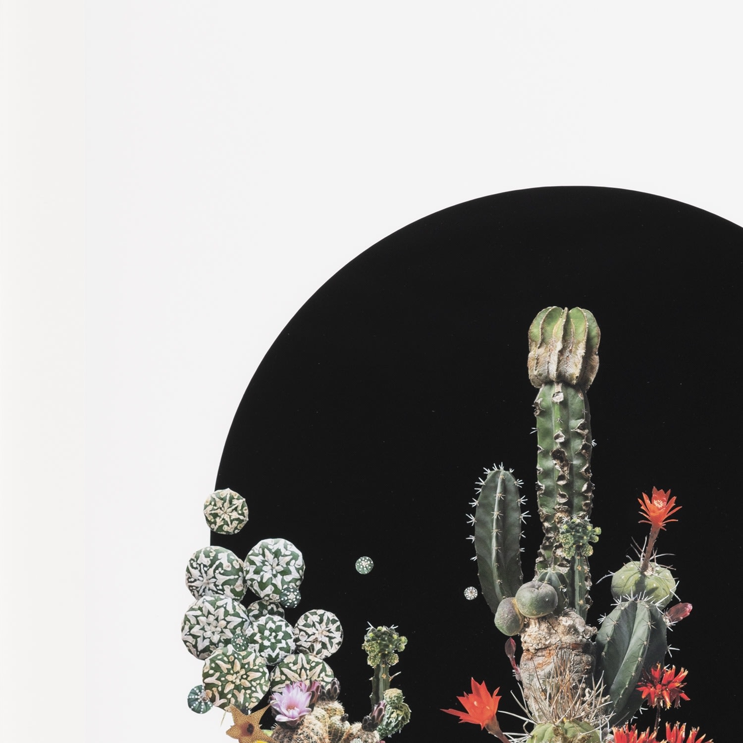 Stephen Eichhorn, Black Circle (Voidground), 2024