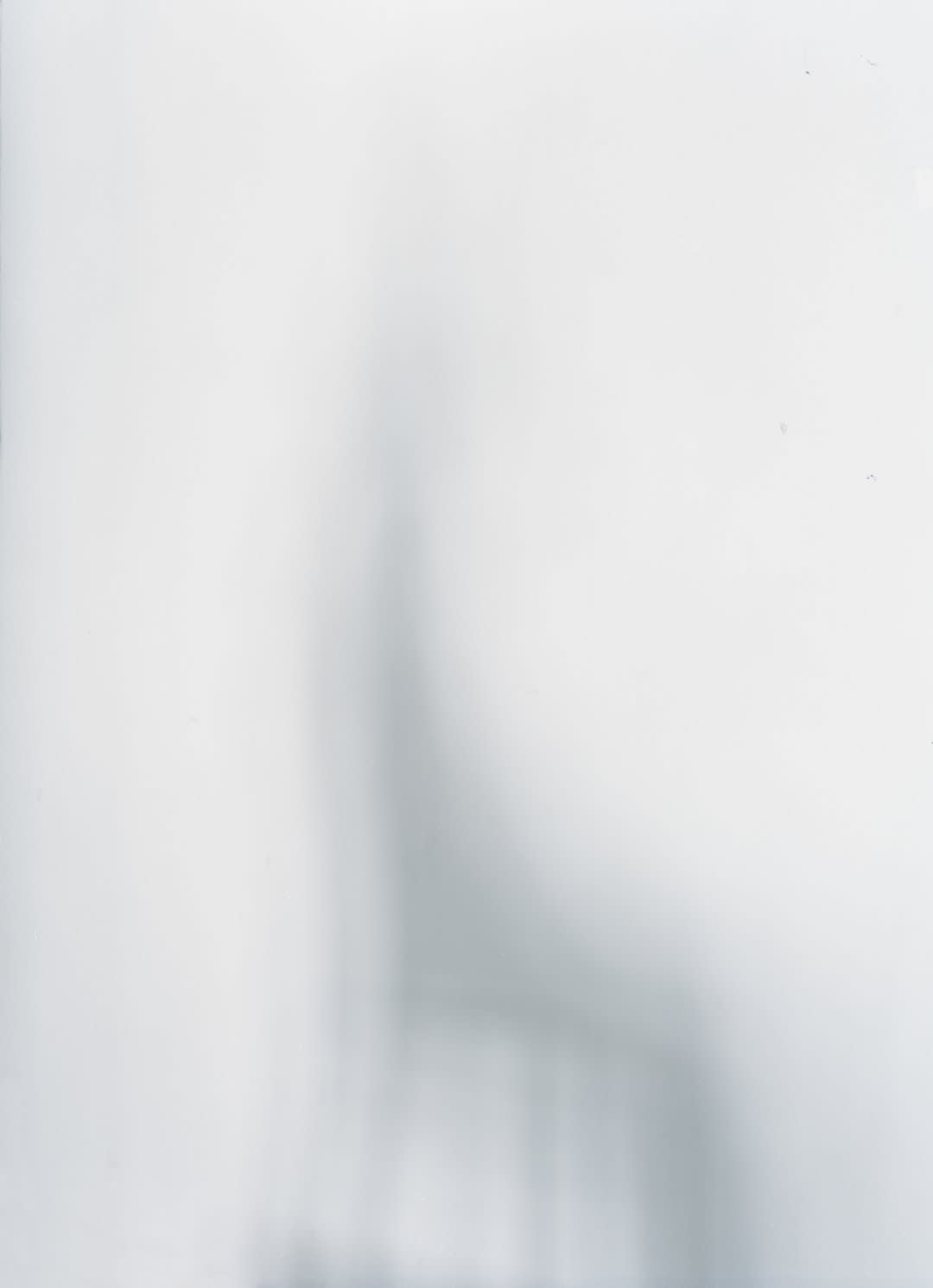 Jason Lazarus, Untitled, 2008