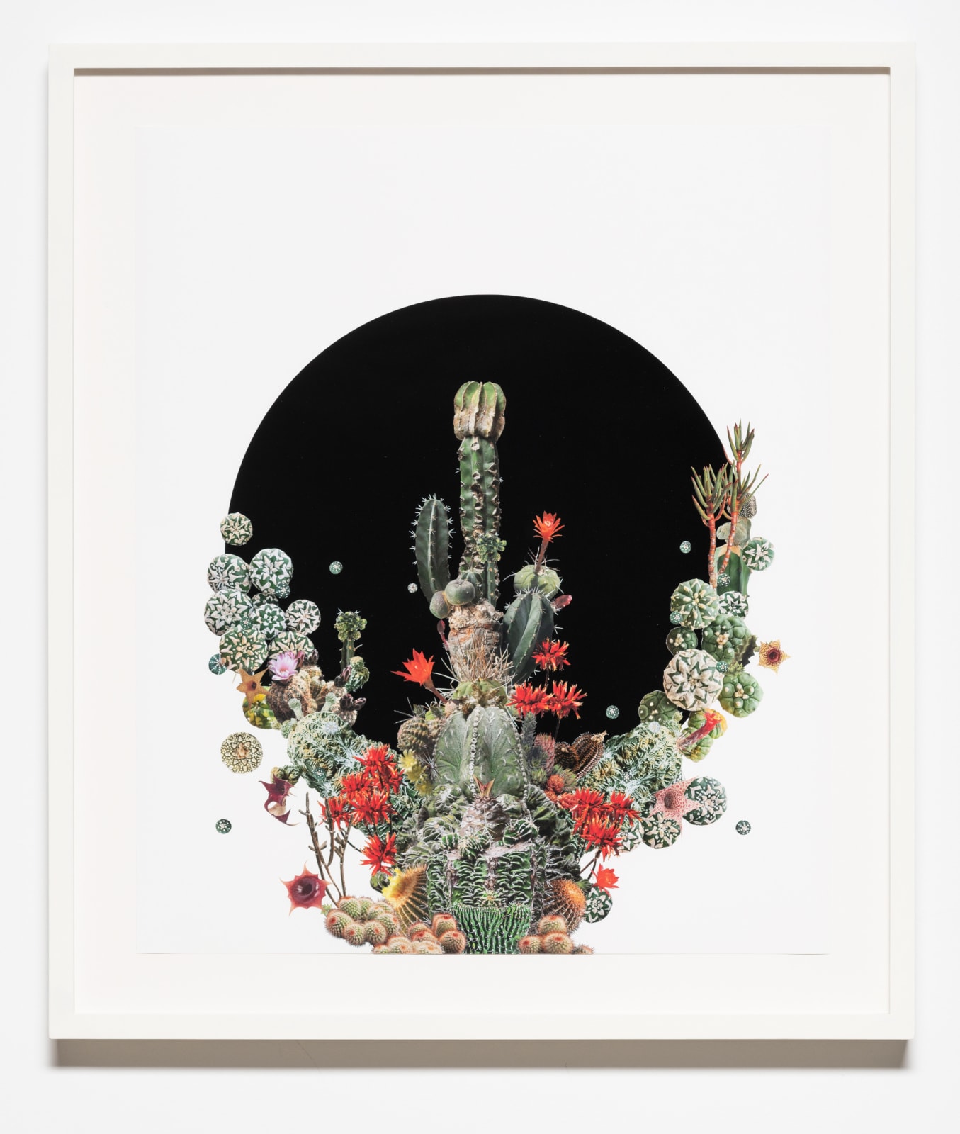 Stephen Eichhorn, Black Circle (Voidground), 2024