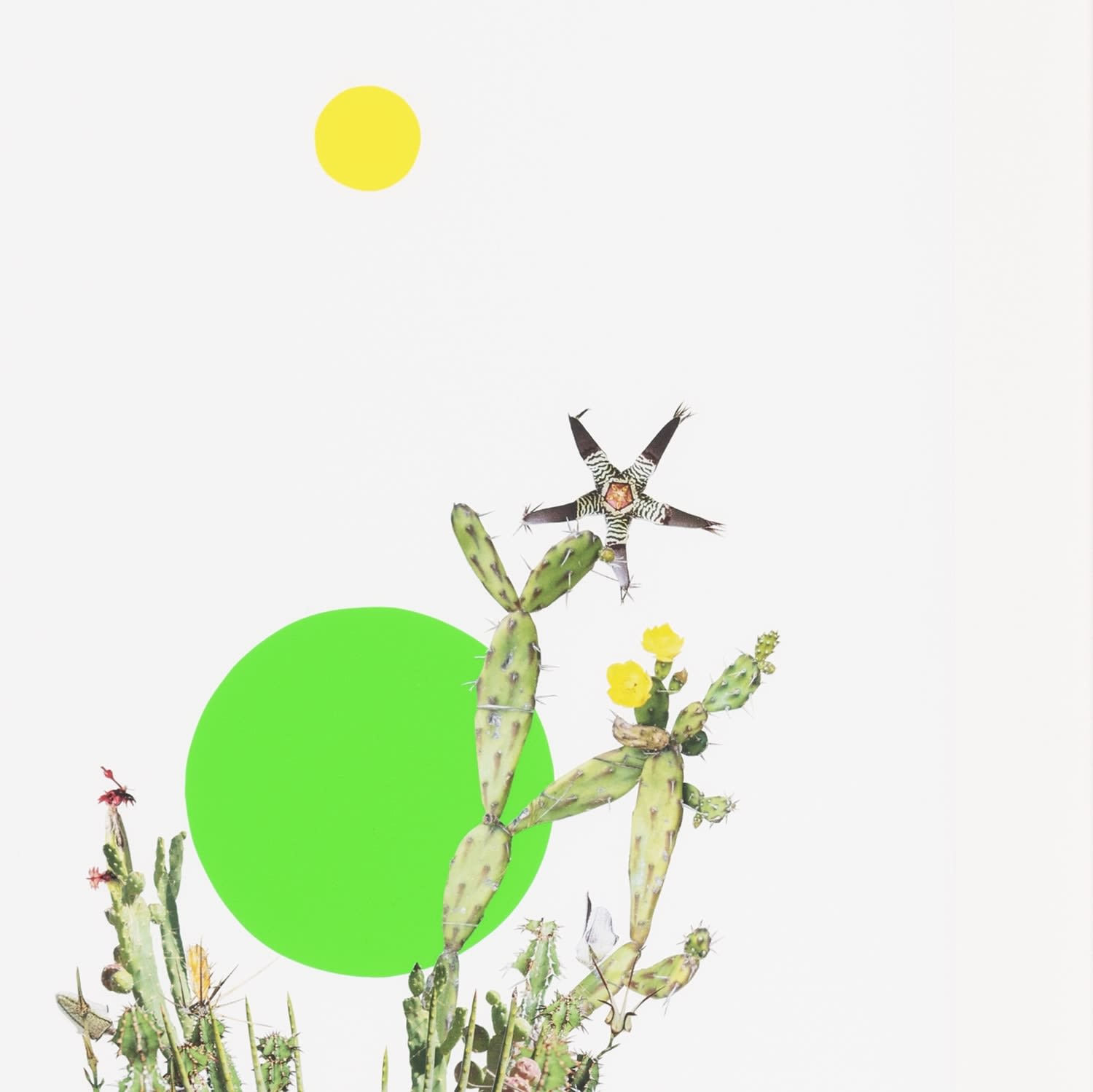 Stephen Eichhorn, Green & Yellow (Voidground), 2024