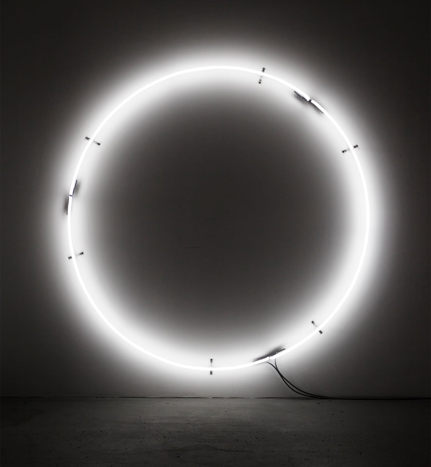 Jan Tichy, Chicago Nature (after Nauman), 2014