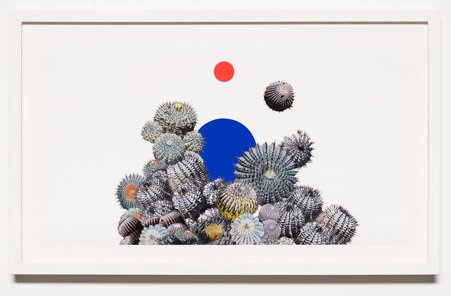 Stephen Eichhorn, Orange and Blue (Voidground), 2024