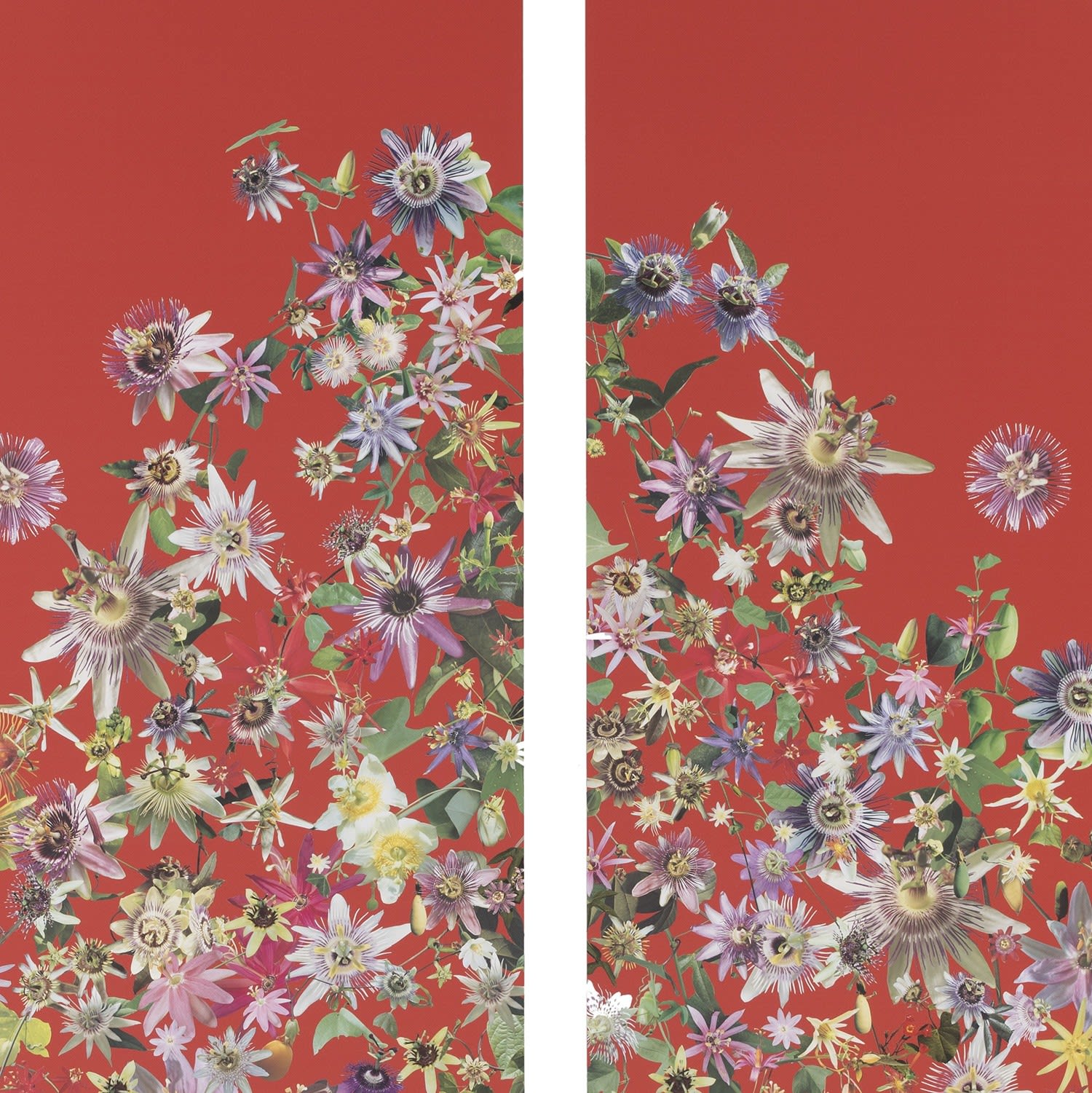 Stephen Eichhorn, Window to the (Passion Flower), 2024