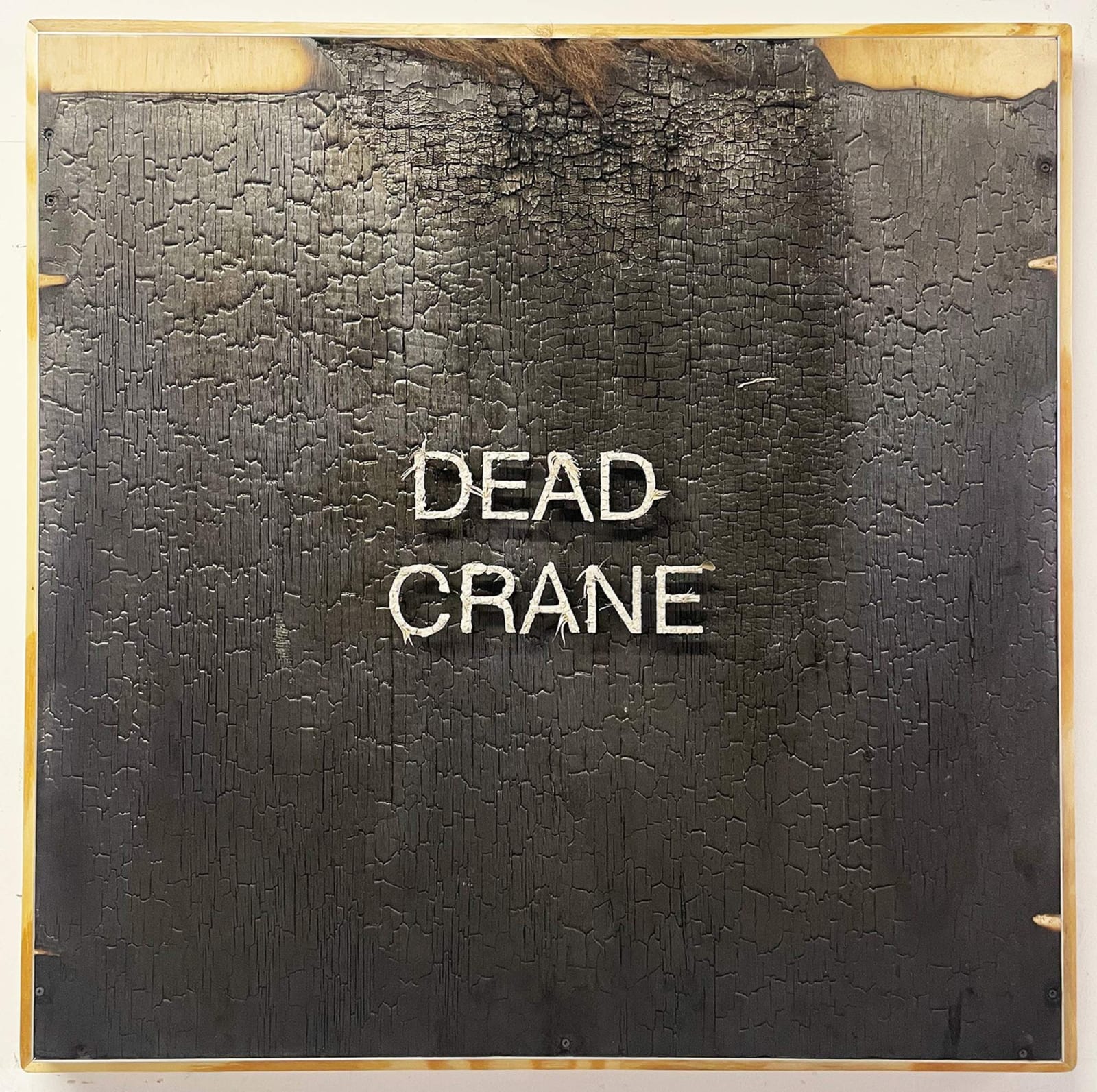 Juan Angel Chavez, Gift Detail, 2024