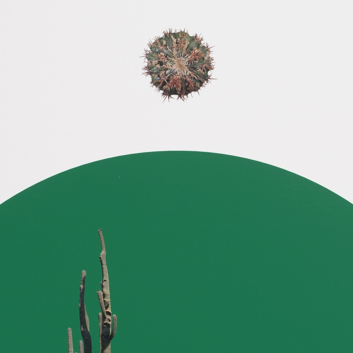 Stephen Eichhorn, Walk Into This (Kneeler), 2024