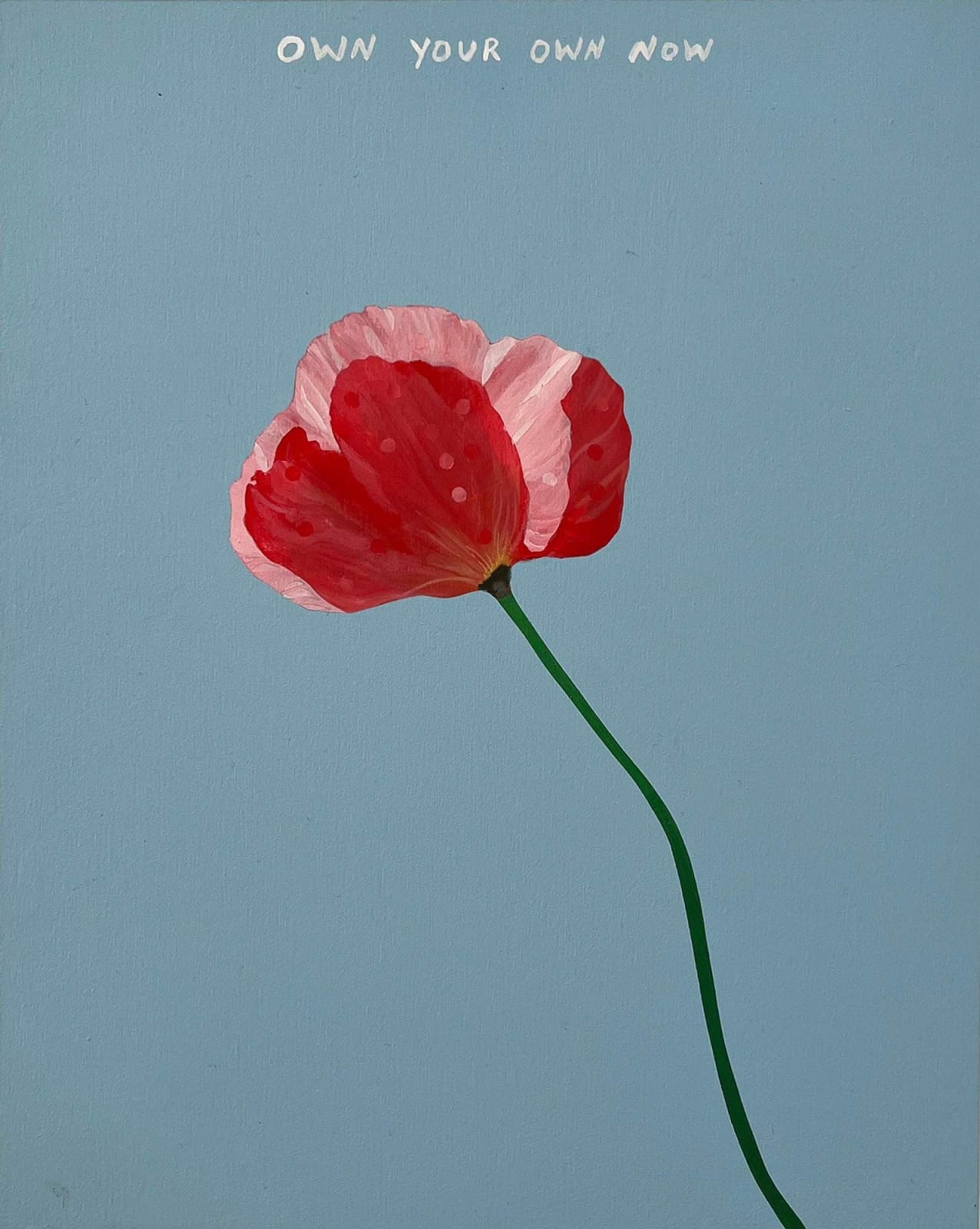 Michael Dumontier & Neil Farber, Own your own now, 2024