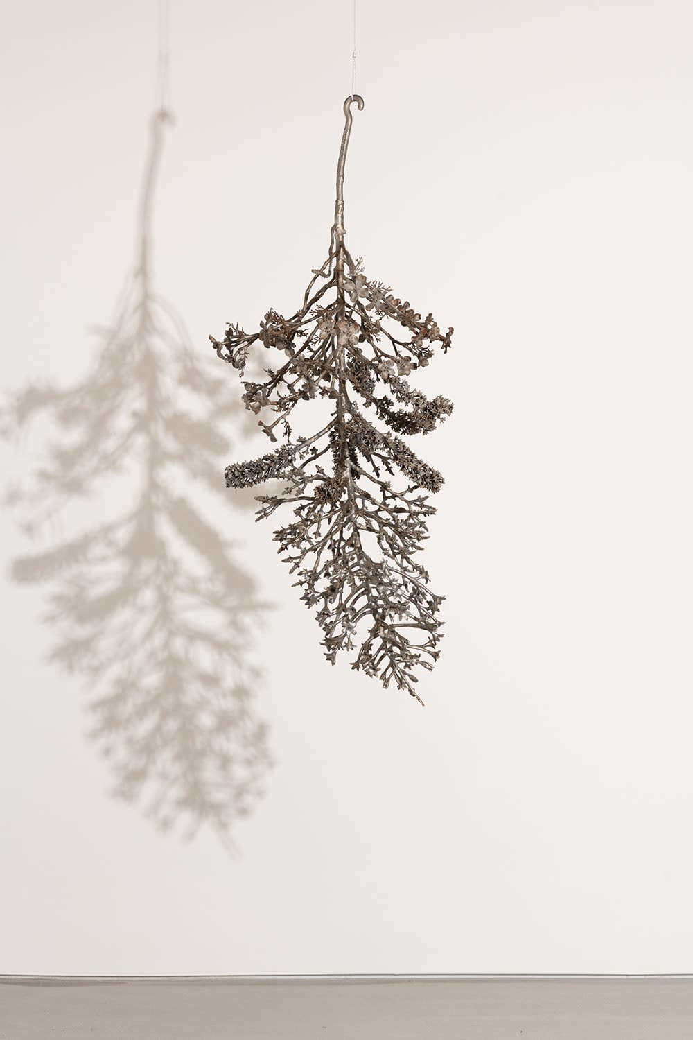 Carolyn Ottmers, Splice #8 (CO10LLOYDM), 2010