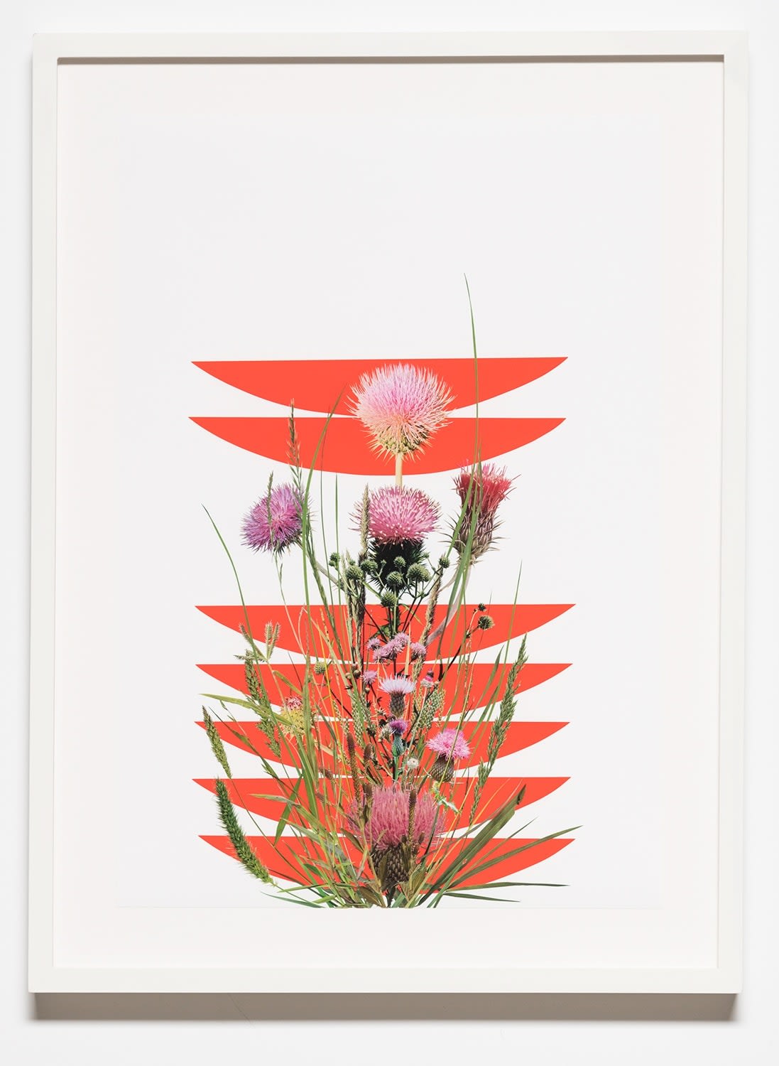 Stephen Eichhorn, The Thistle, 2023