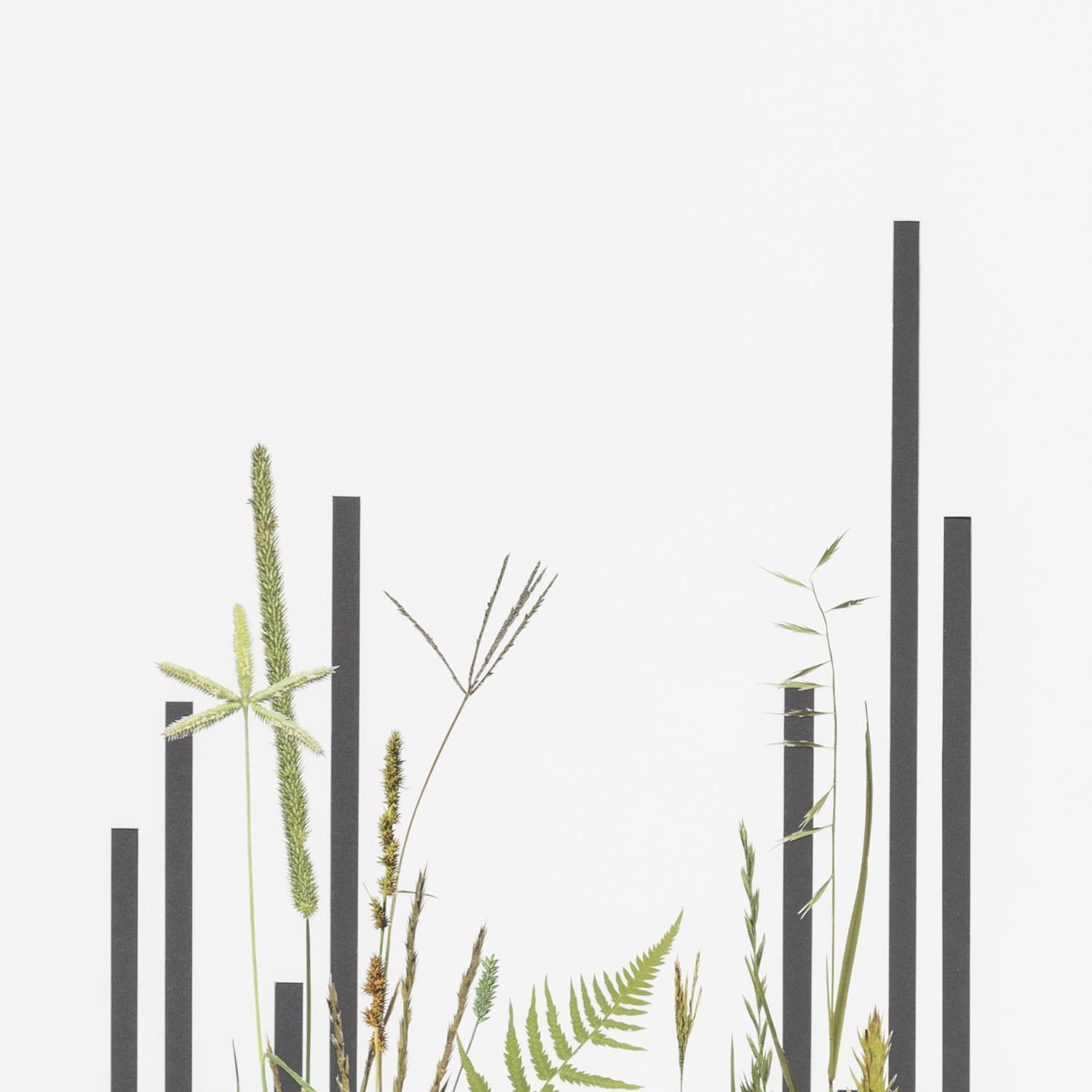 Stephen Eichhorn, Stepped Grasses (Voidground), 2024