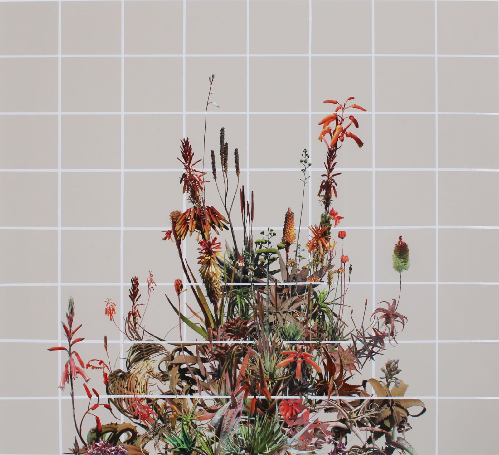 Stephen Eichhorn, The Grid, The Grid (Aloe & Agave & Aloe), 2025