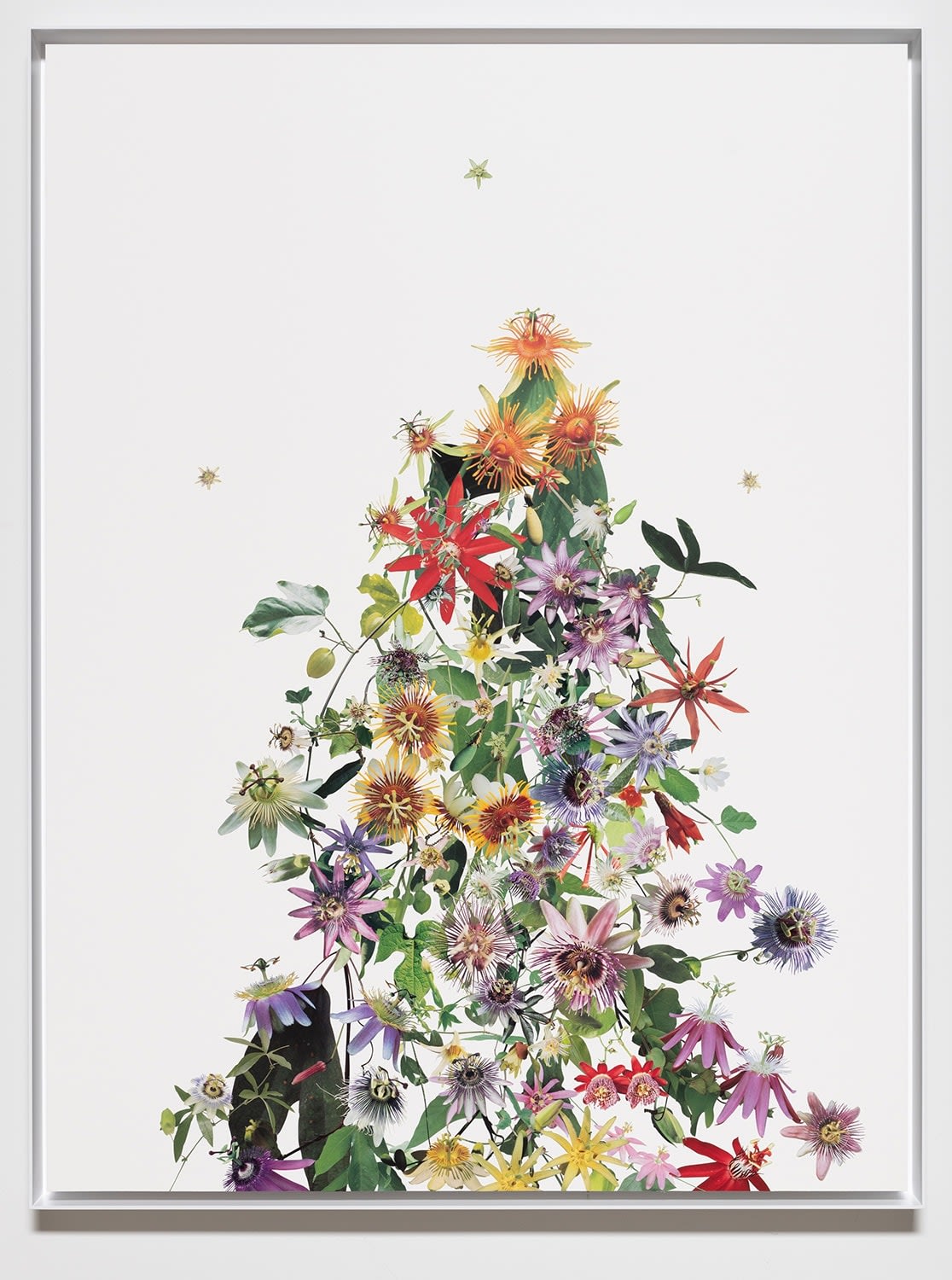 Stephen Eichhorn, Passion Flower (Slumber), 2023