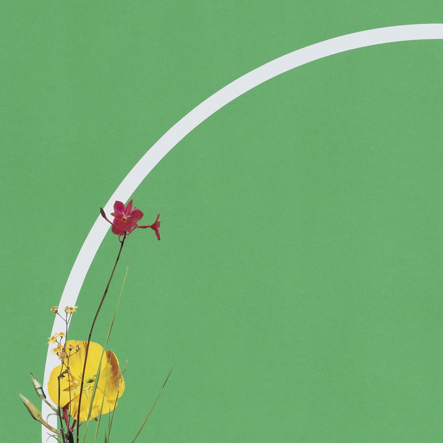 Stephen Eichhorn, After (Always Remain), 2024