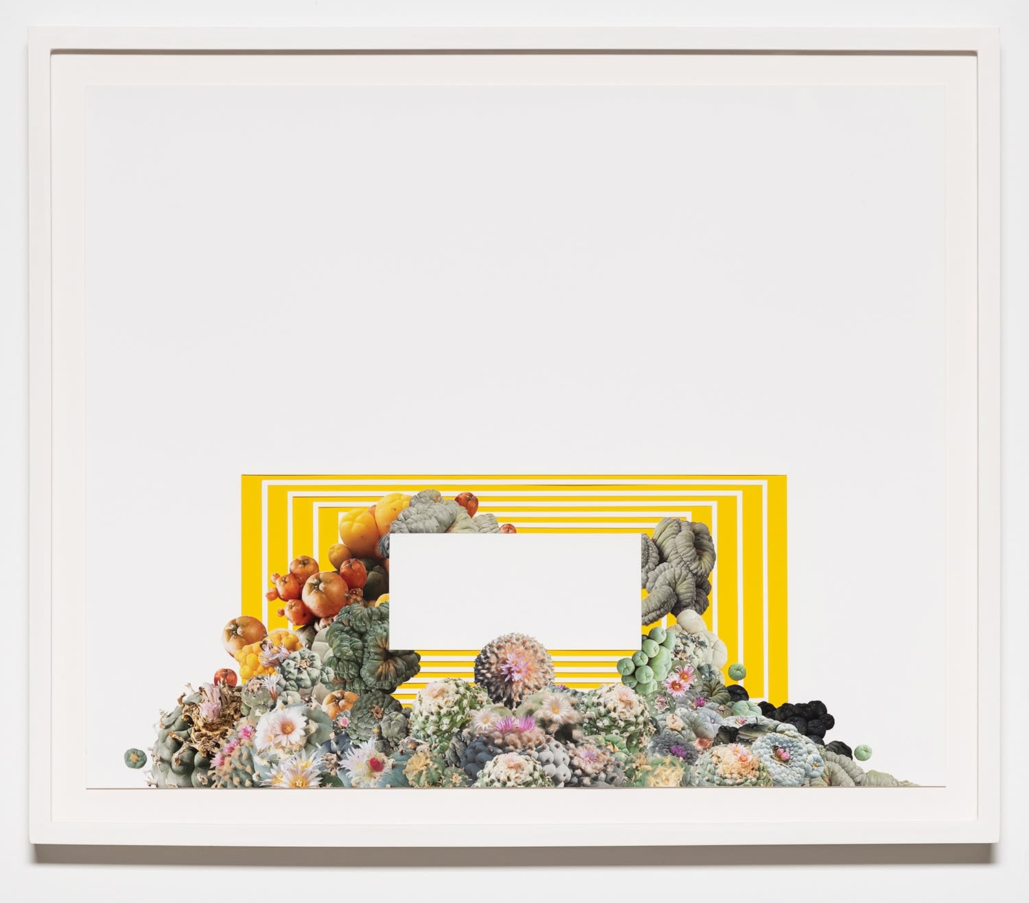 Stephen Eichhorn, Stepped Lophophora (Voidground), 2022