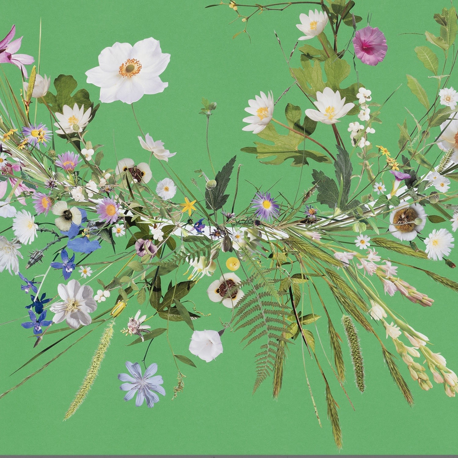 Stephen Eichhorn, After (Always Remain), 2024