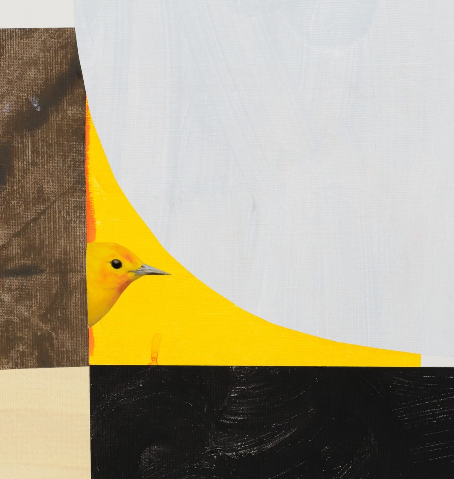 Diana Guerrero-Maciá, Paintings for Birds no. 5, 2024