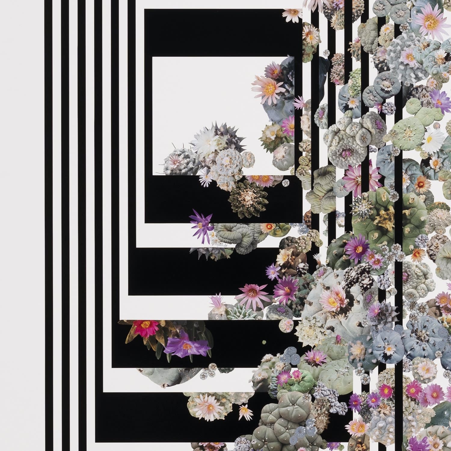 Stephen Eichhorn, Folding / Unfolding (Time), 2024