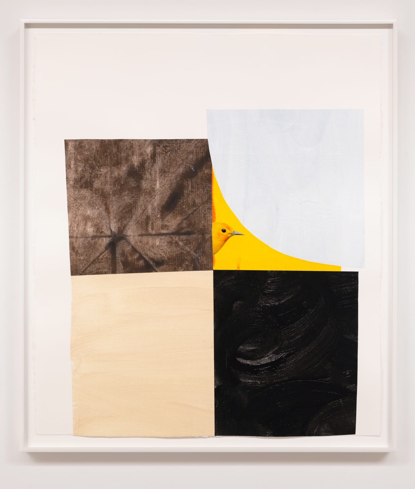 Diana Guerrero-Maciá, Paintings for Birds no. 5, 2024