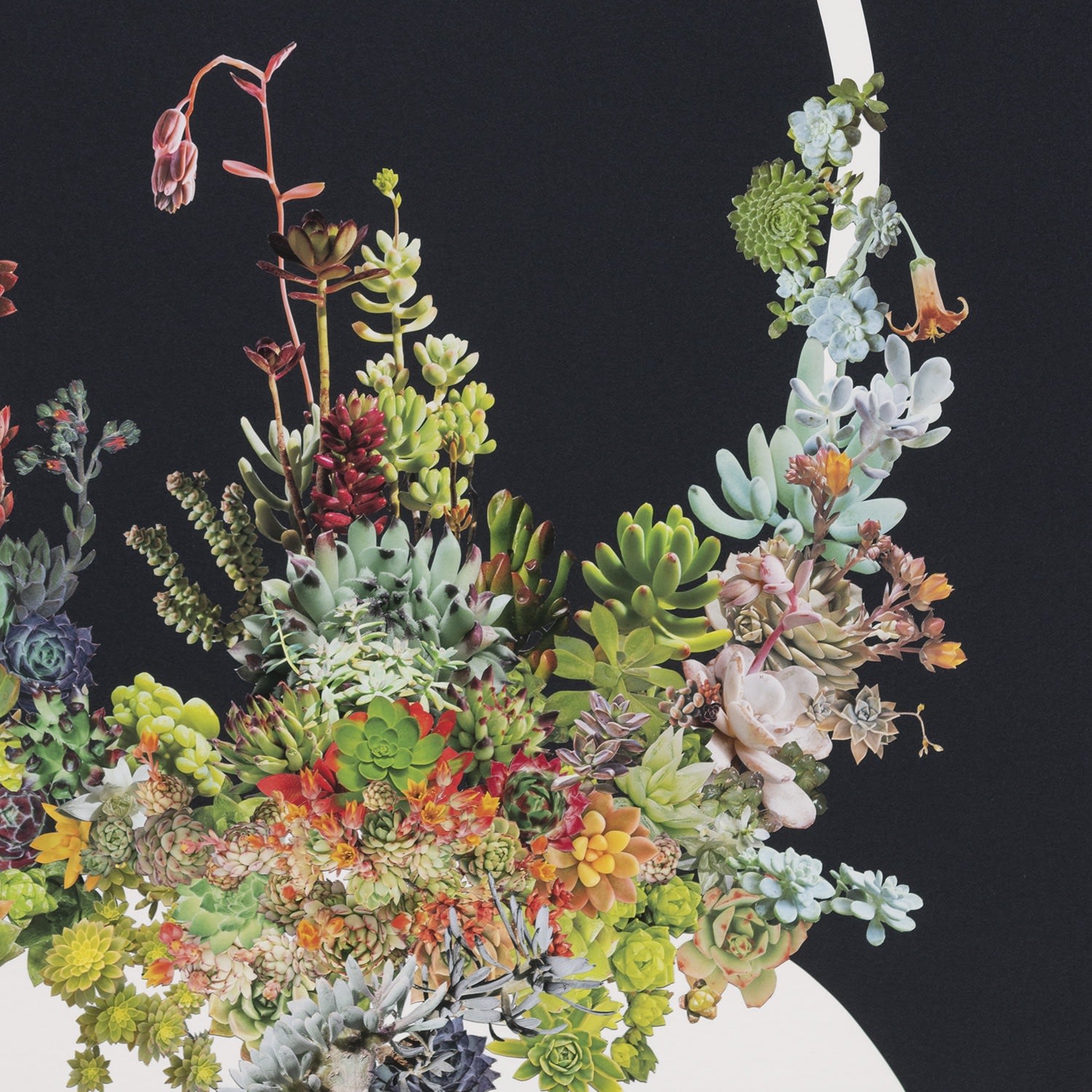 Stephen Eichhorn, End / Start, 2019