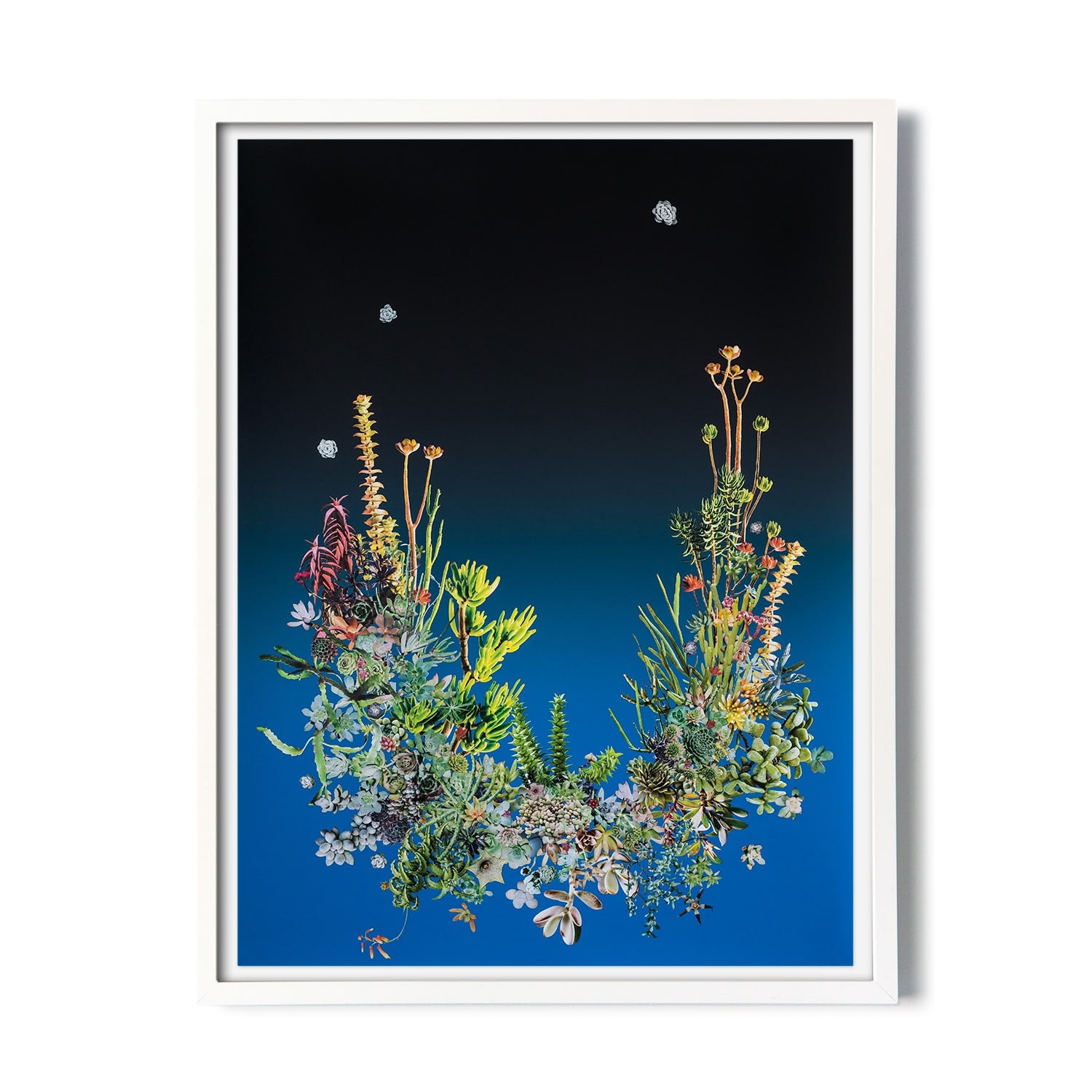 Stephen Eichhorn, Perfecting Form, 2020